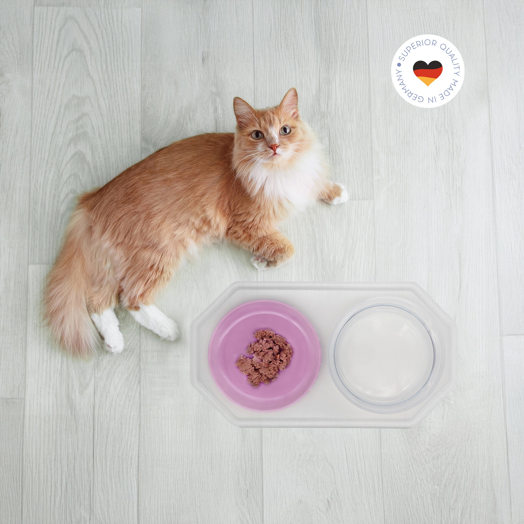 Rote Katze liegt entspannt neben Essgeschirr-Set für Katzen und schaut nach oben, Geschirrgröße 18 cm, Ansicht von oben (180)