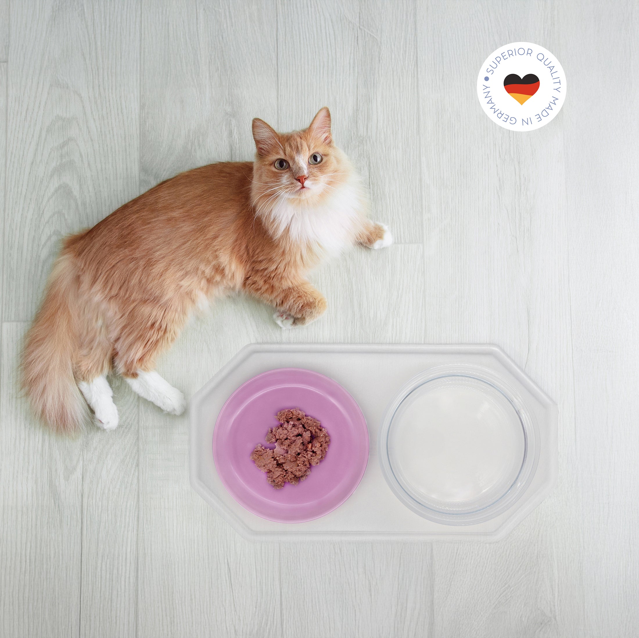 Rote Katze liegt entspannt neben Essgeschirr-Set für Katzen und schaut nach oben, Geschirrgröße 22 cm, Ansicht von oben (220)