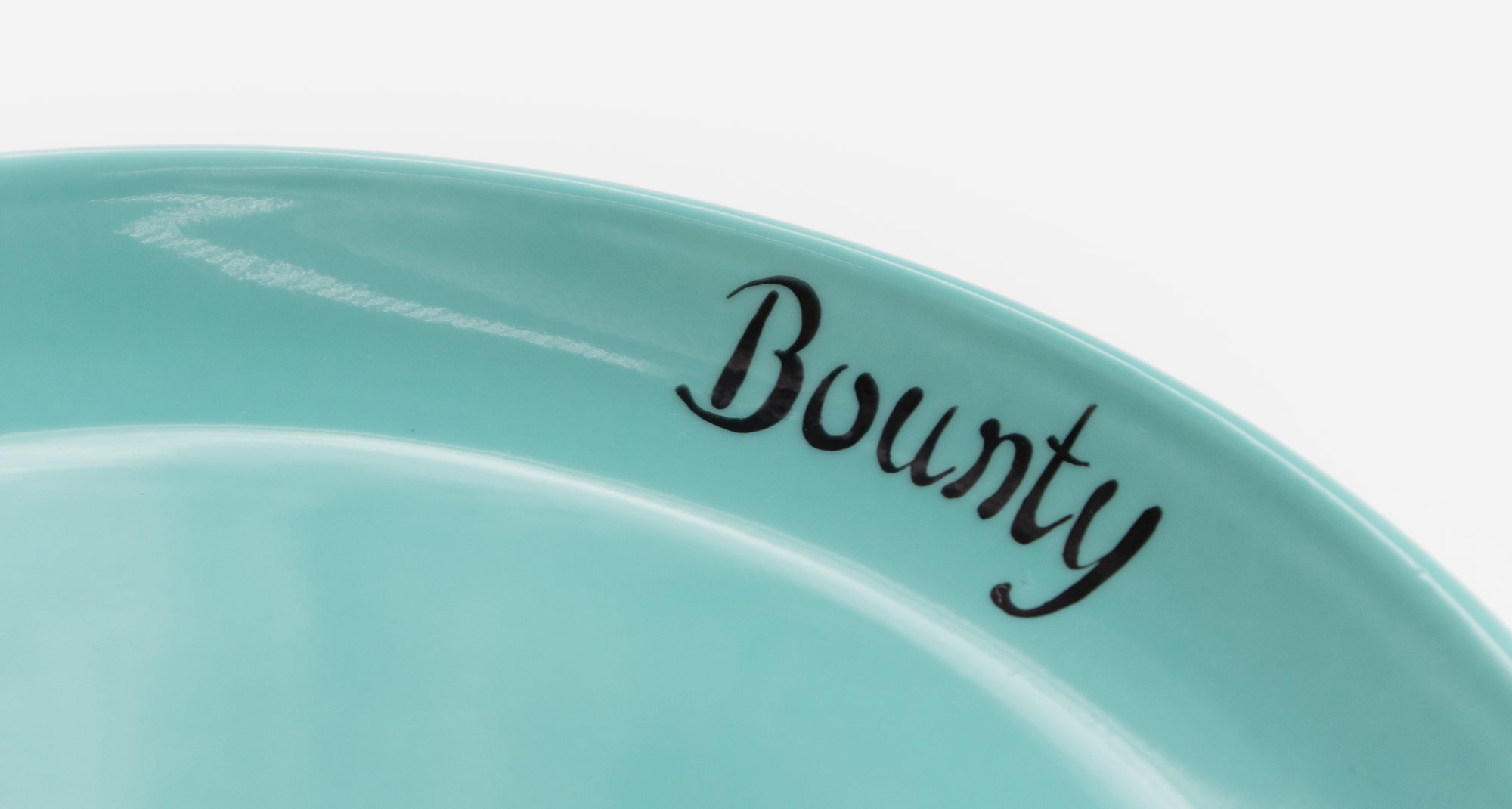 Close-up detail of the inner rim of a turquoise cat plate with personalised inscription in black