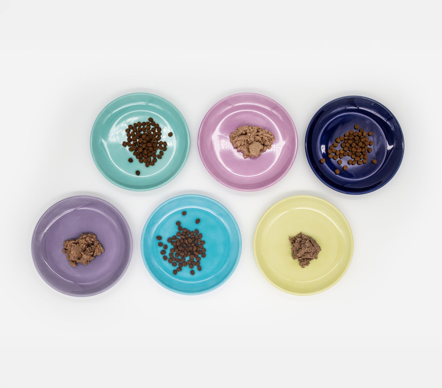 Draufsicht auf 6 mit Nassfutter und Trockenfutter befüllte Katzenteller in 6 verschiedenen katzenfreundlichen Farben