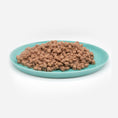 Bild in Galerie-Betrachter laden, Katzenteller türkis aus Porzellan in Größe 42 cm gefüllt mit einem Berg Nassfutter – Ansicht von schräg oben (Jungle Dawn)
