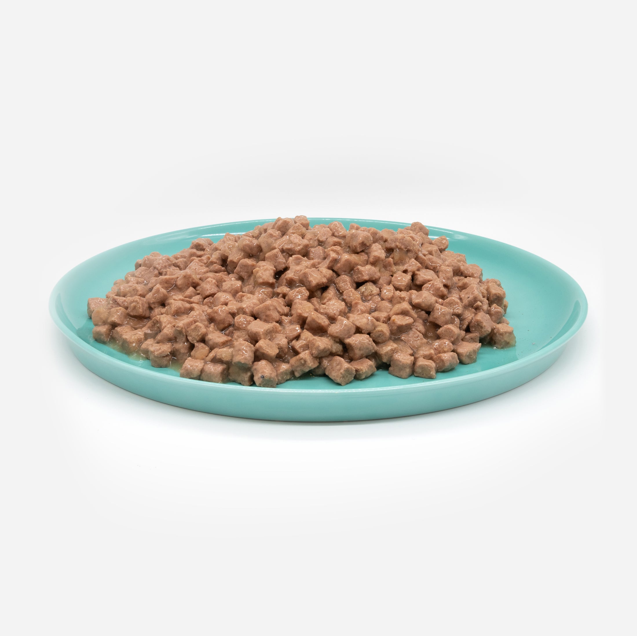 Katzenteller türkis aus Porzellan in Größe 42 cm gefüllt mit einem Berg Nassfutter – Ansicht von schräg oben (Jungle Dawn)