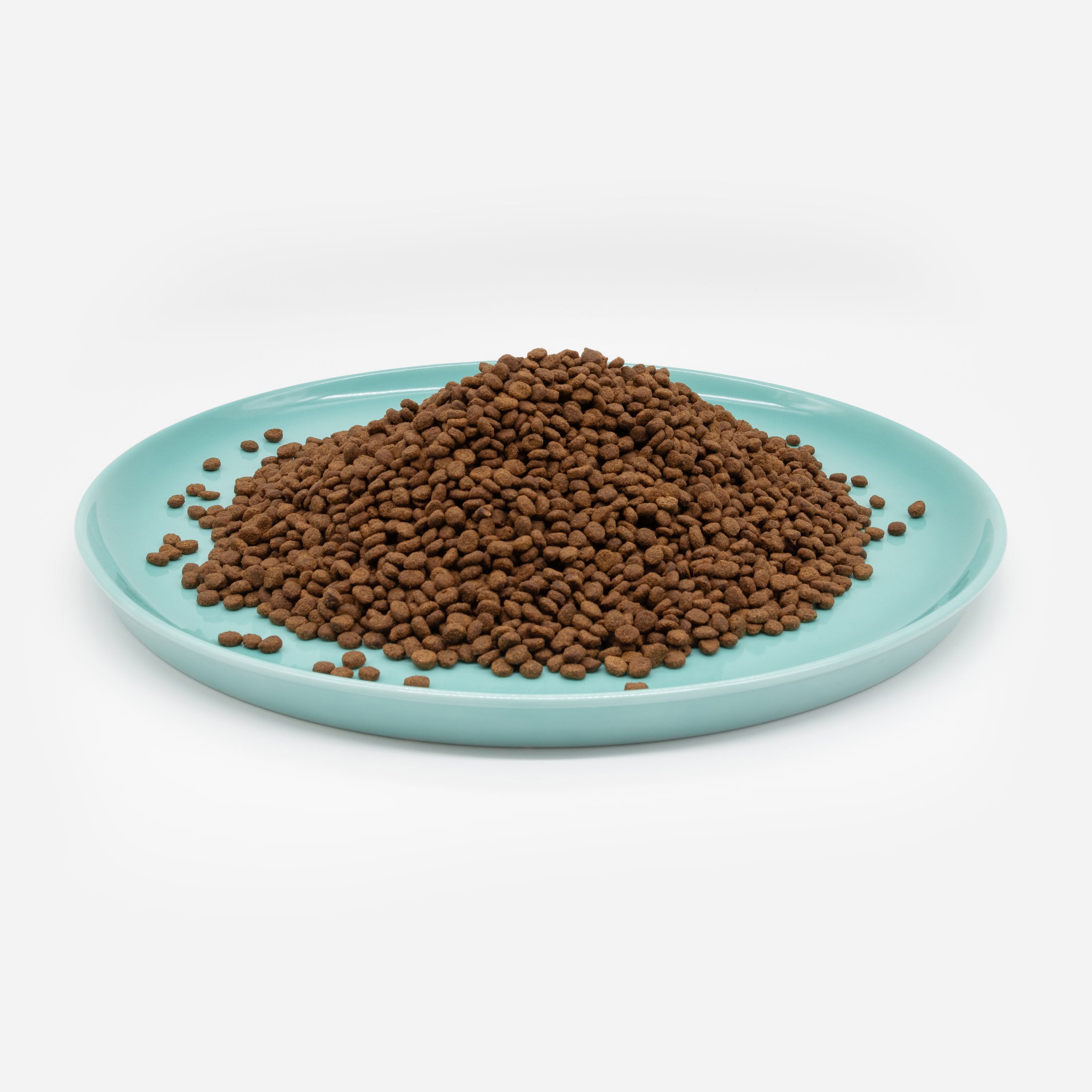 Katzenteller türkis aus Porzellan in Größe 42 cm gefüllt mit einem Berg Trockenfutter – Ansicht von schräg oben (Jungle Dawn)