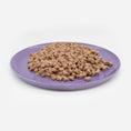Bild in Galerie-Betrachter laden, Katzenteller violett aus Porzellan in Größe 42 cm gefüllt mit einem Berg Nassfutter – Ansicht von schräg oben (Easter Egg)
