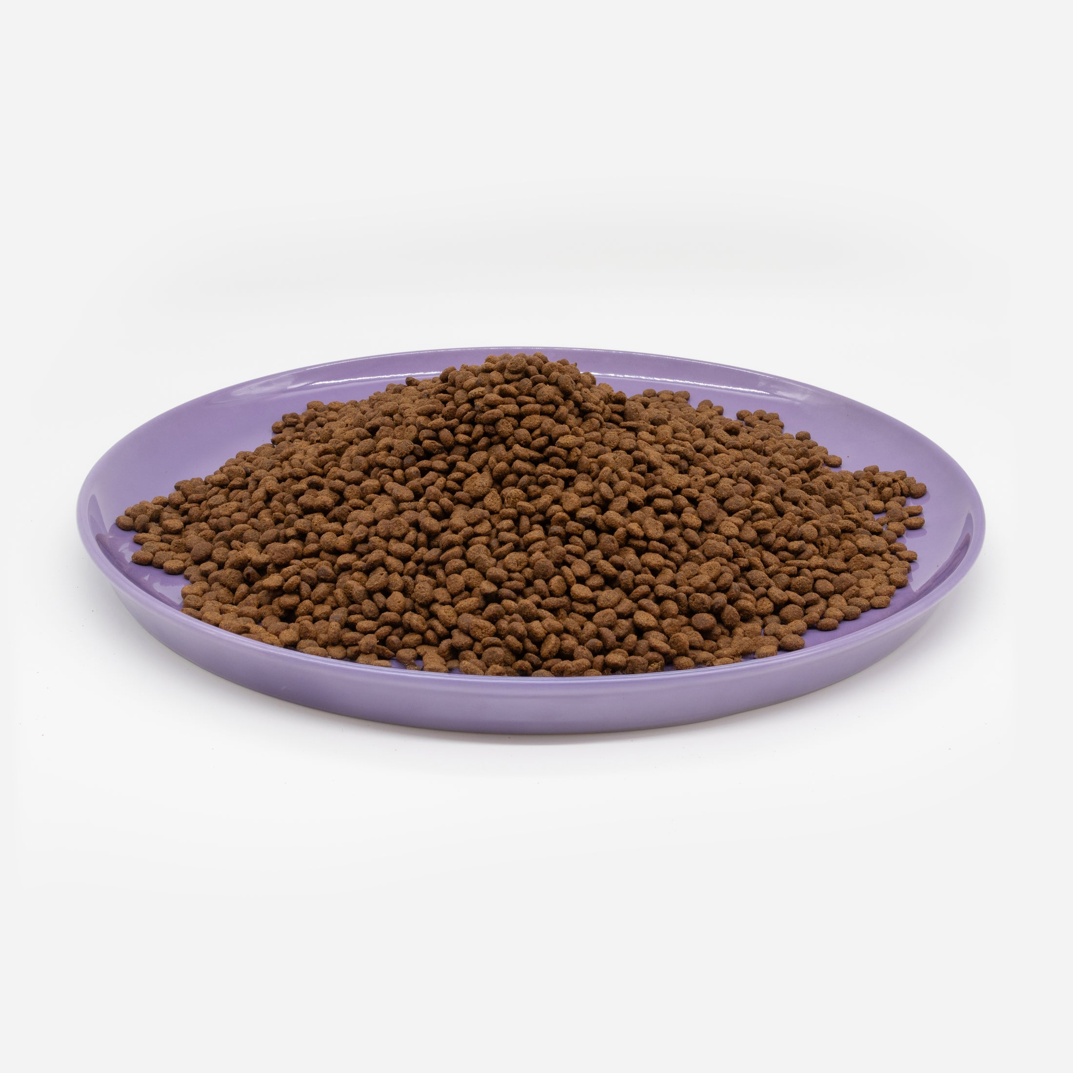 Katzenteller violett aus Porzellan in Größe 42 cm gefüllt mit einem Berg Trockenfutter – Ansicht von schräg oben (Easter Egg)